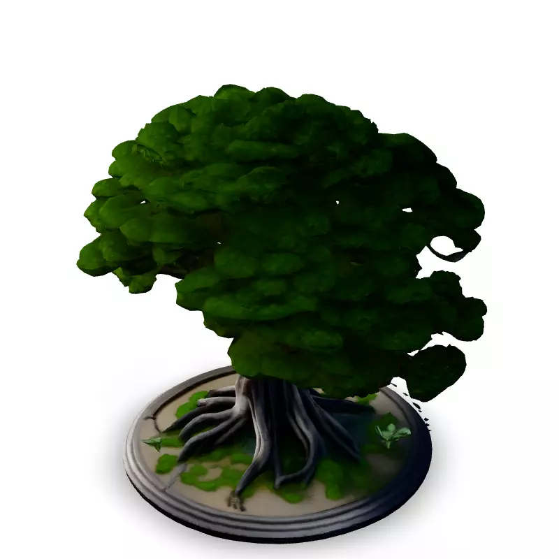 Stylized Bonsai Tree 3D Model Low-poly 3D model_5