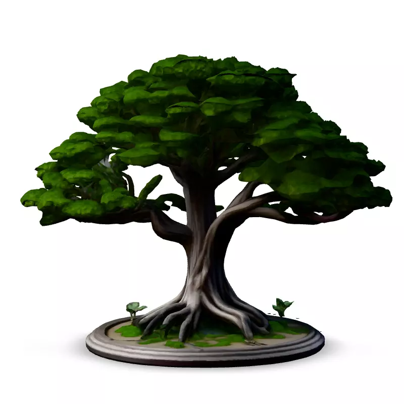 Stylized Bonsai Tree 3D Model Low-poly 3D model_6