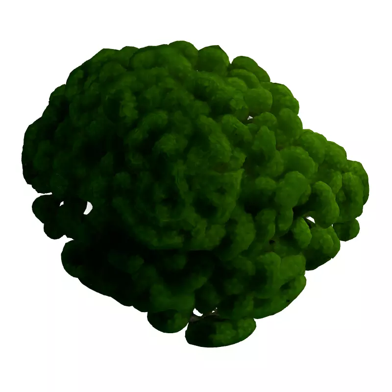 Stylized Bonsai Tree 3D Model Low-poly 3D model_7