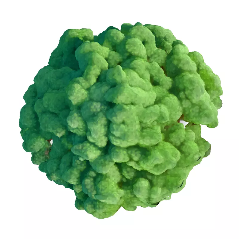 Stylized Oak Tree with Park Diorama Low-poly 3D model_7