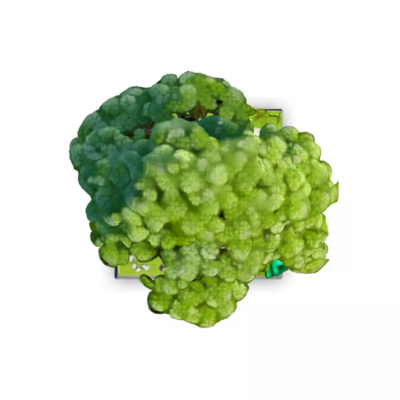 Stylized Low Poly Tree Diorama Low-poly 3D model_7