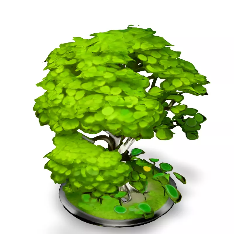 Stylized Bonsai Tree 3D Model Low-poly 3D model_4