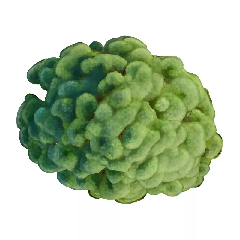 Stylized Metallic Bonsai Tree 3D Model Low-poly 3D model_7