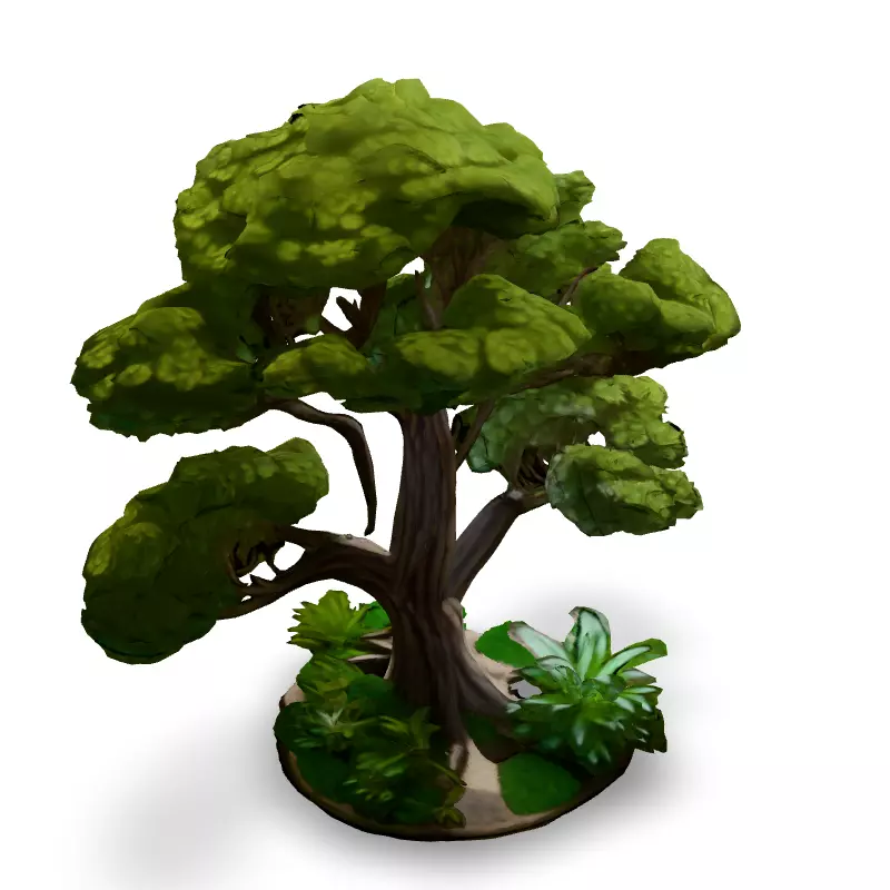 Stylized Bonsai Tree 3D Model Low-poly 3D model_2