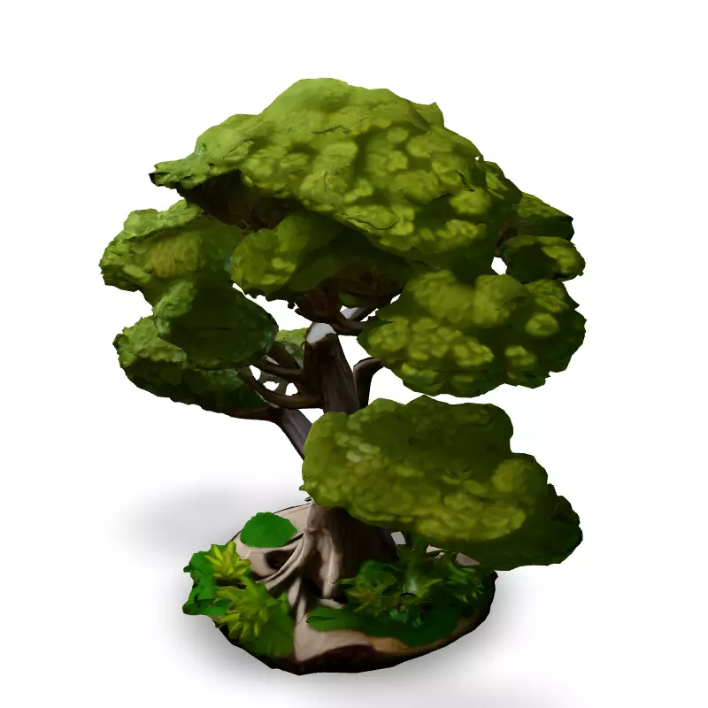 Stylized Bonsai Tree 3D Model Low-poly 3D model_5