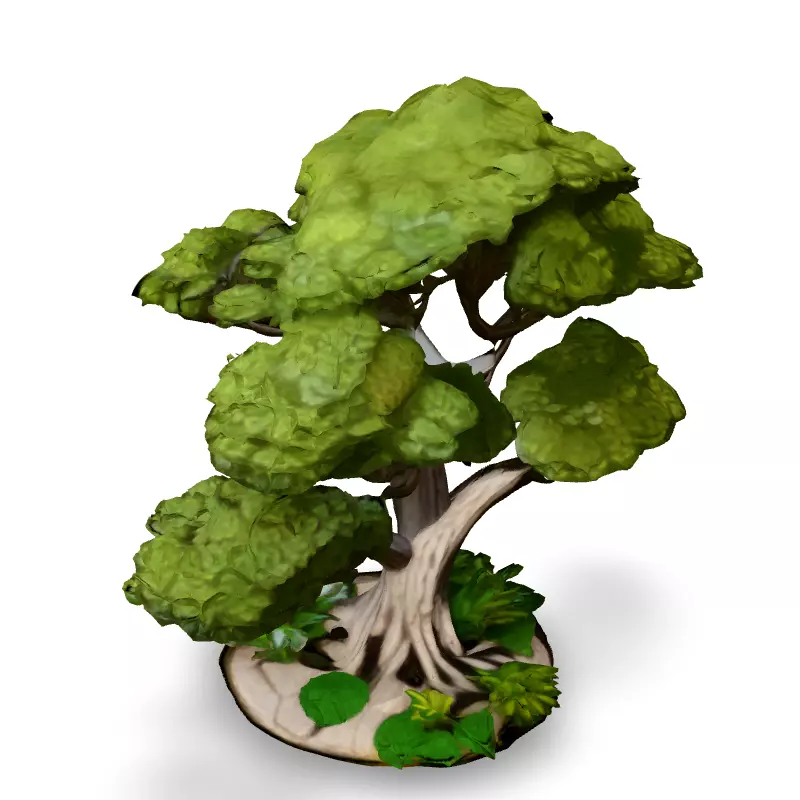 Stylized Bonsai Tree 3D Model Low-poly 3D model_4