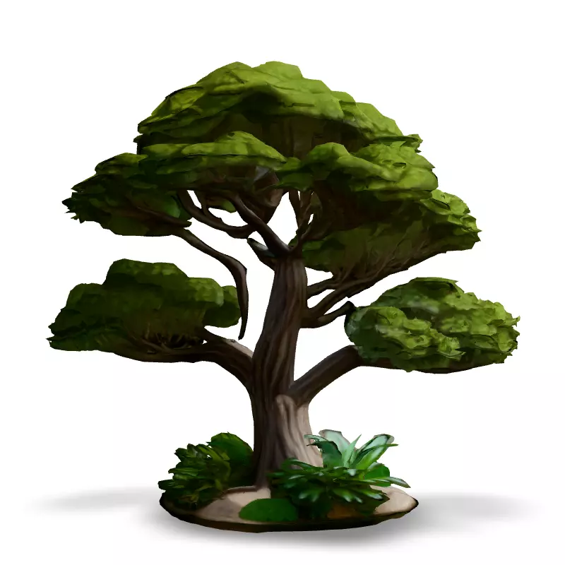 Stylized Bonsai Tree 3D Model Low-poly 3D model_3