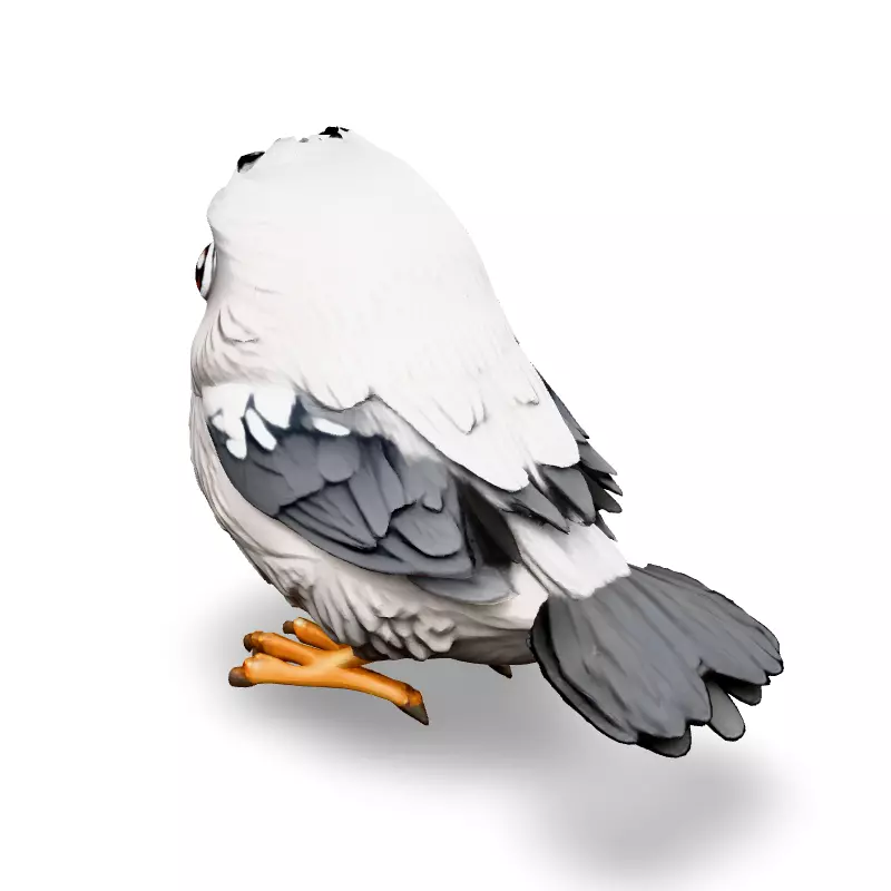 Adorable Cartoon Baby Bird 3D Model Low-poly 3D model_4