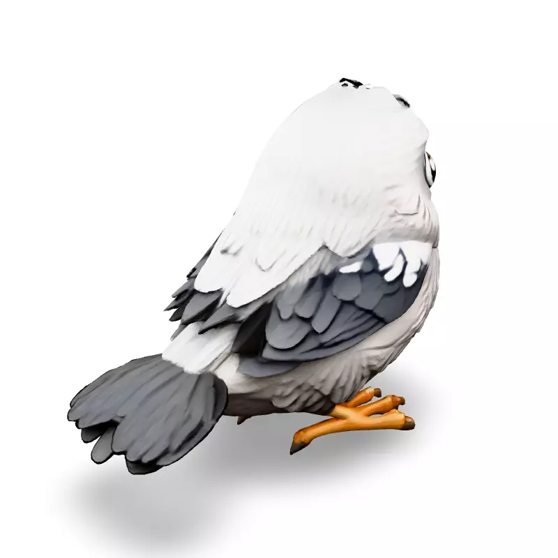 Adorable Cartoon Baby Bird 3D Model Low-poly 3D model_5