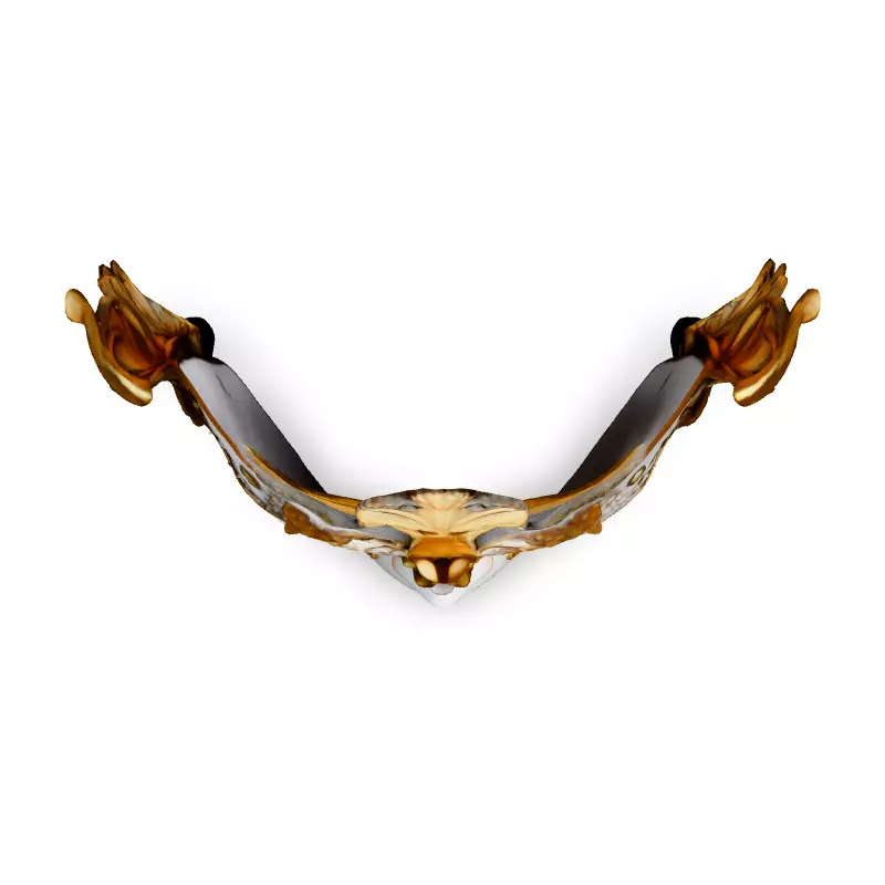 Elegant Venetian Carnival Mask 3D Model Low-poly 3D model_7