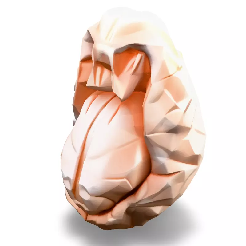 Low Poly Stylized Human Heart Low-poly 3D model_2