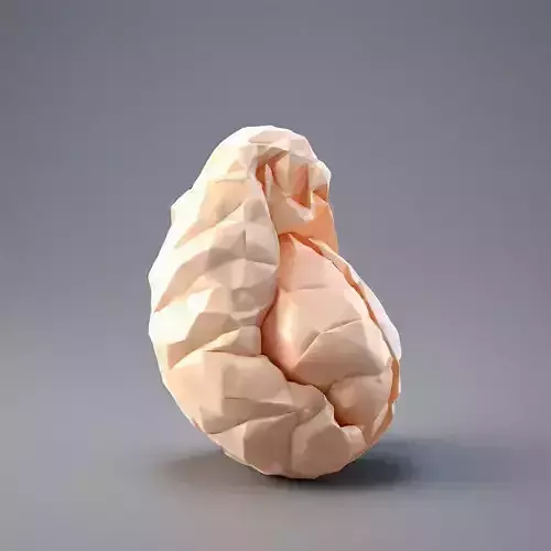 Low Poly Stylized Human Heart Low-poly 3D model