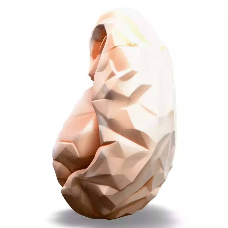 Low Poly Stylized Human Heart Low-poly 3D model_3