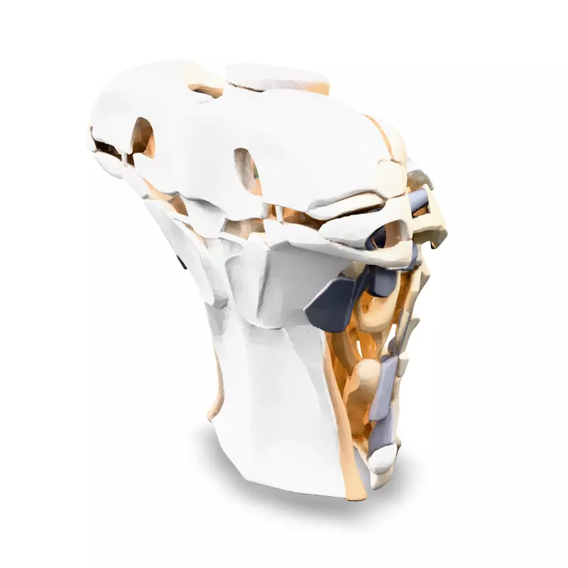 SciFi Robotic Torso and Neck Low-poly 3D model_5