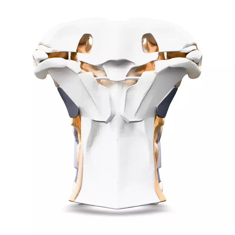 SciFi Robotic Torso and Neck Low-poly 3D model_6