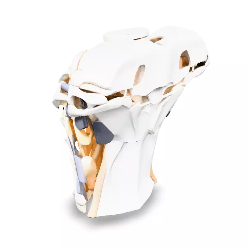 SciFi Robotic Torso and Neck Low-poly 3D model_4