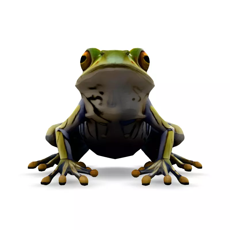 Stylized SemiTransparent Frog Low-poly 3D model_3