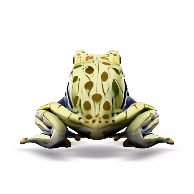 Stylized SemiTransparent Frog Low-poly 3D model_6