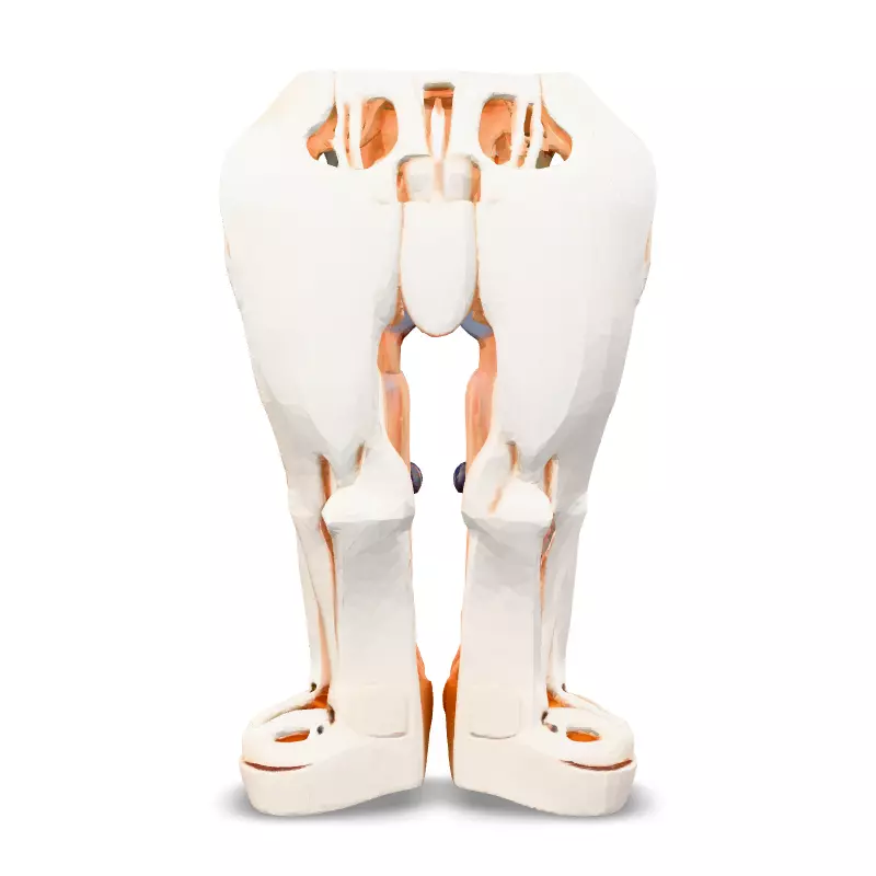 SciFi Robotic Legs with Internal Structure Low-poly 3D model_3
