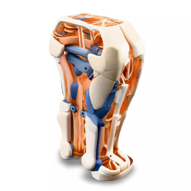 SciFi Robotic Legs with Internal Structure Low-poly 3D model_5