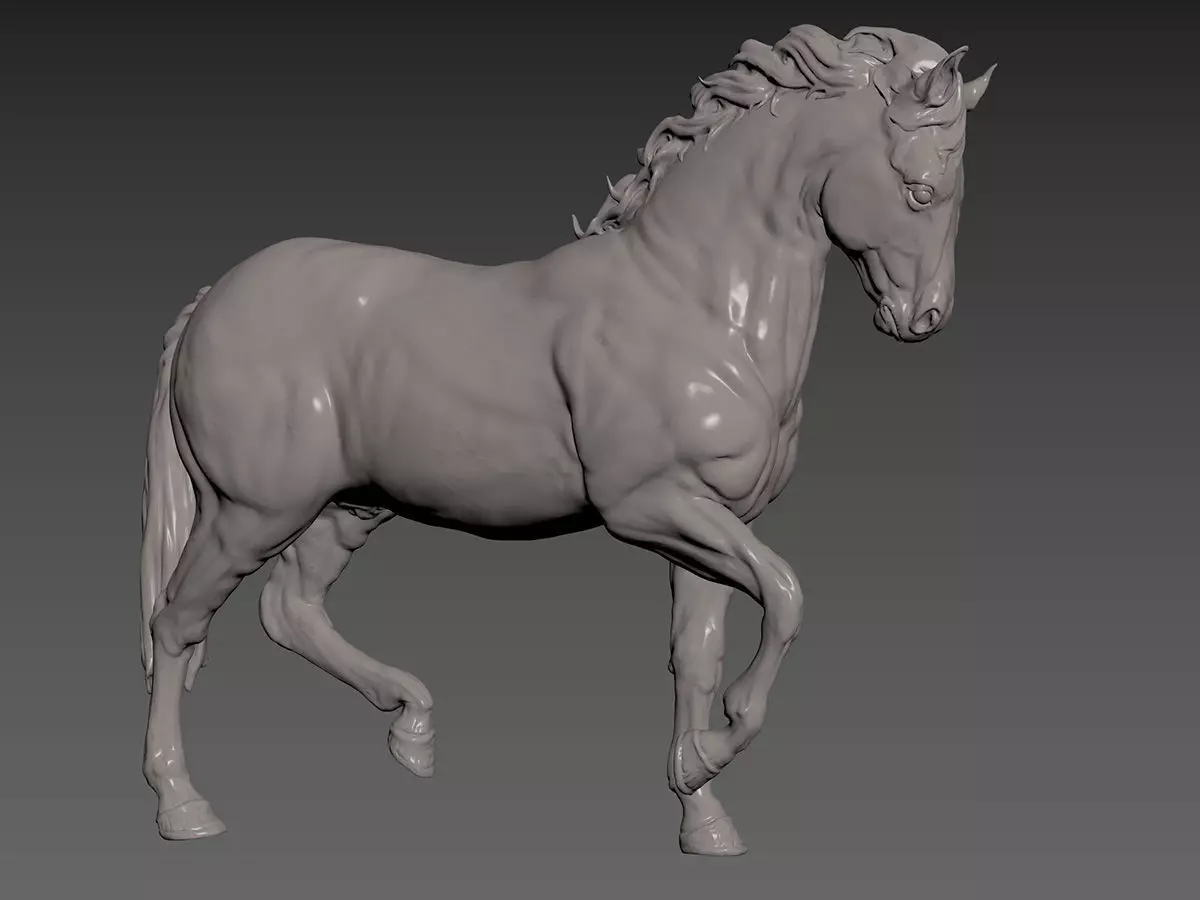 Horse 3D model_4