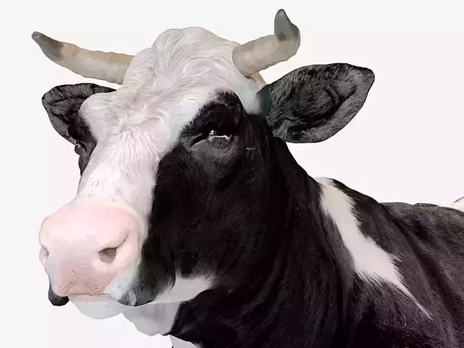 Dairy cow Low-poly 3D model