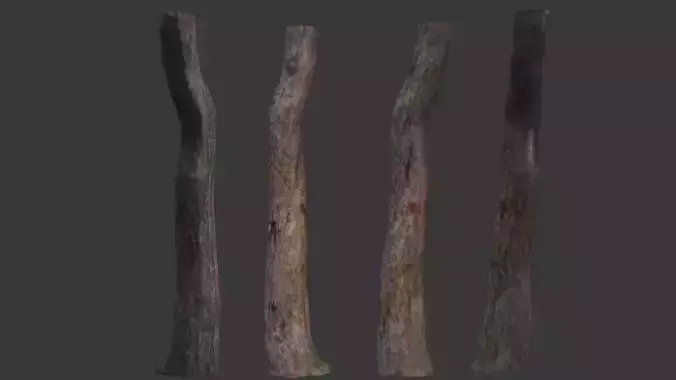 Tree Branch Log Scan Low-poly 3D model