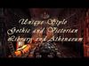 Gothic Fantasy Victorian Library Collection _3