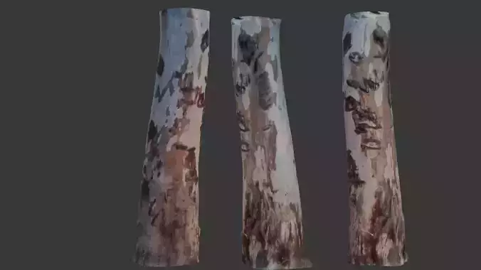  Birch Tree Trunk Scan Low-poly 3D model