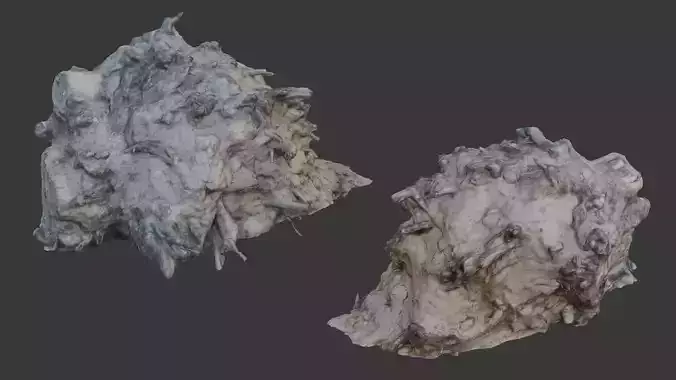  Uprooted Tree Stump Scan Low-poly 3D model