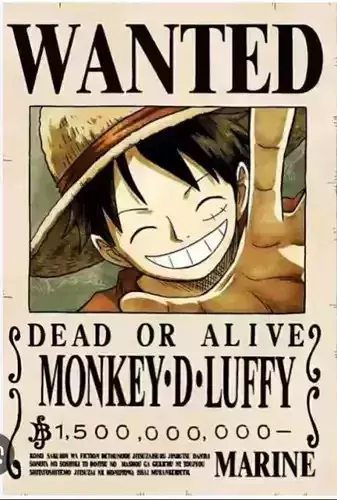 Luffy with Jacket 