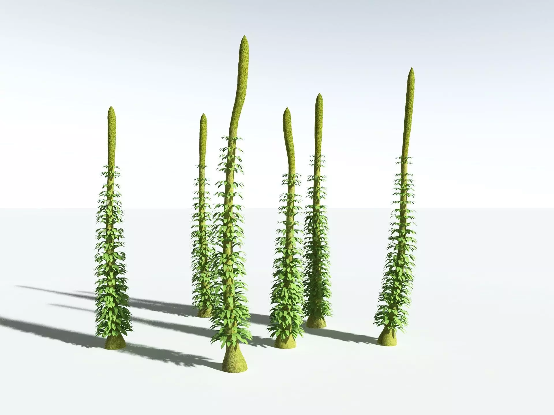 EVERYPlant Chaloneria Cormosa 3D model_4