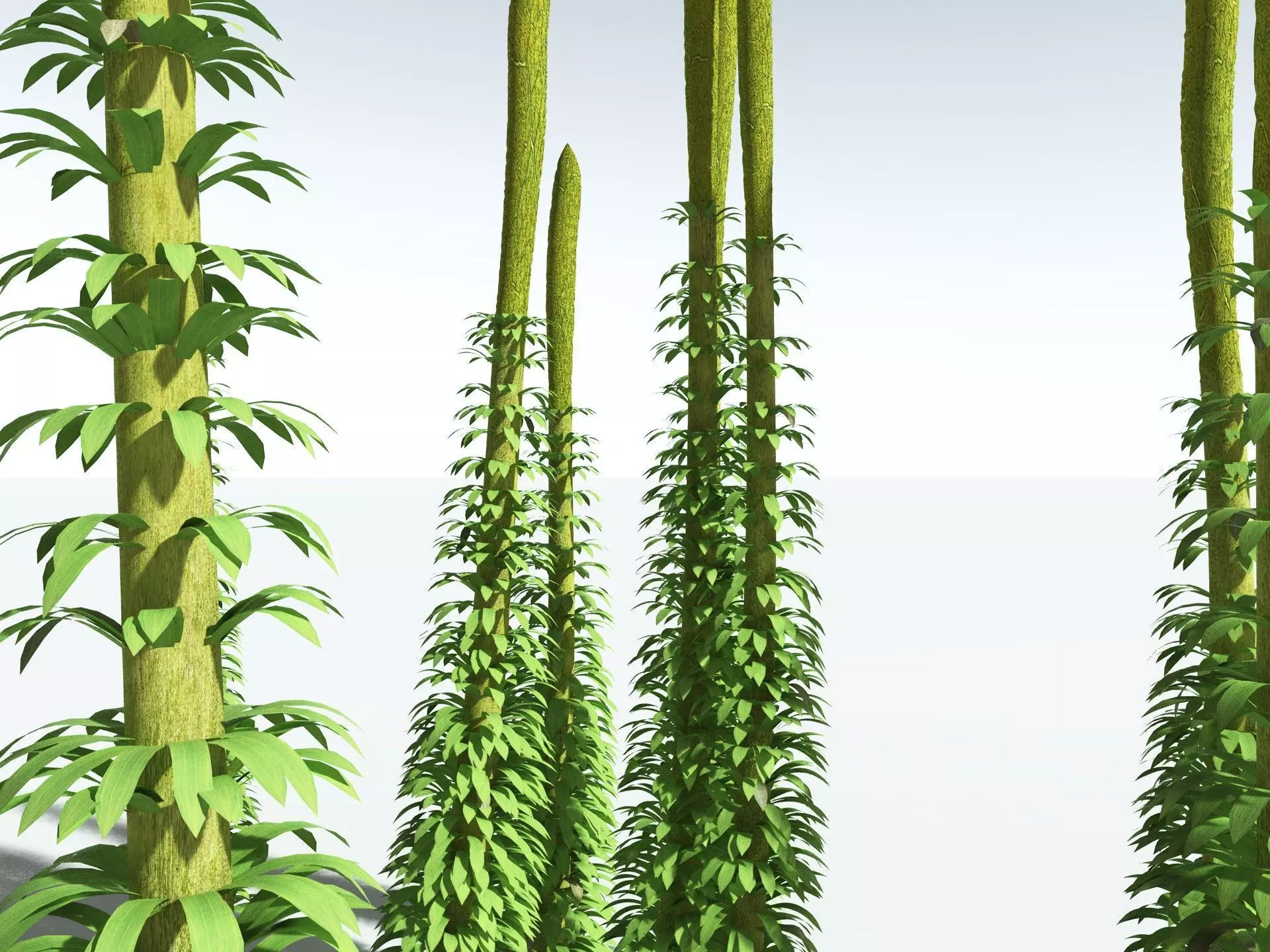 EVERYPlant Chaloneria Cormosa 3D model_3