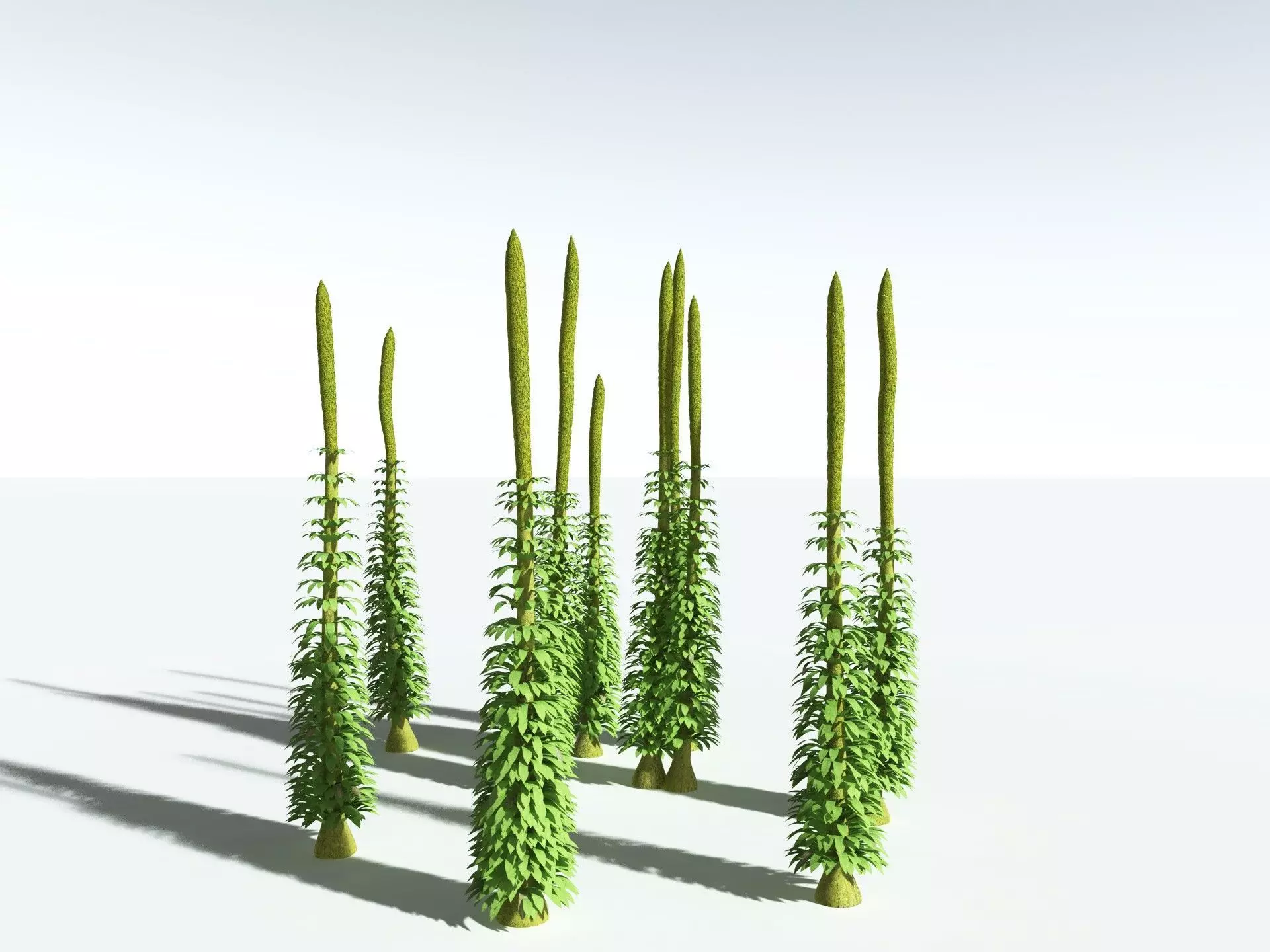 EVERYPlant Chaloneria Cormosa 3D model_22