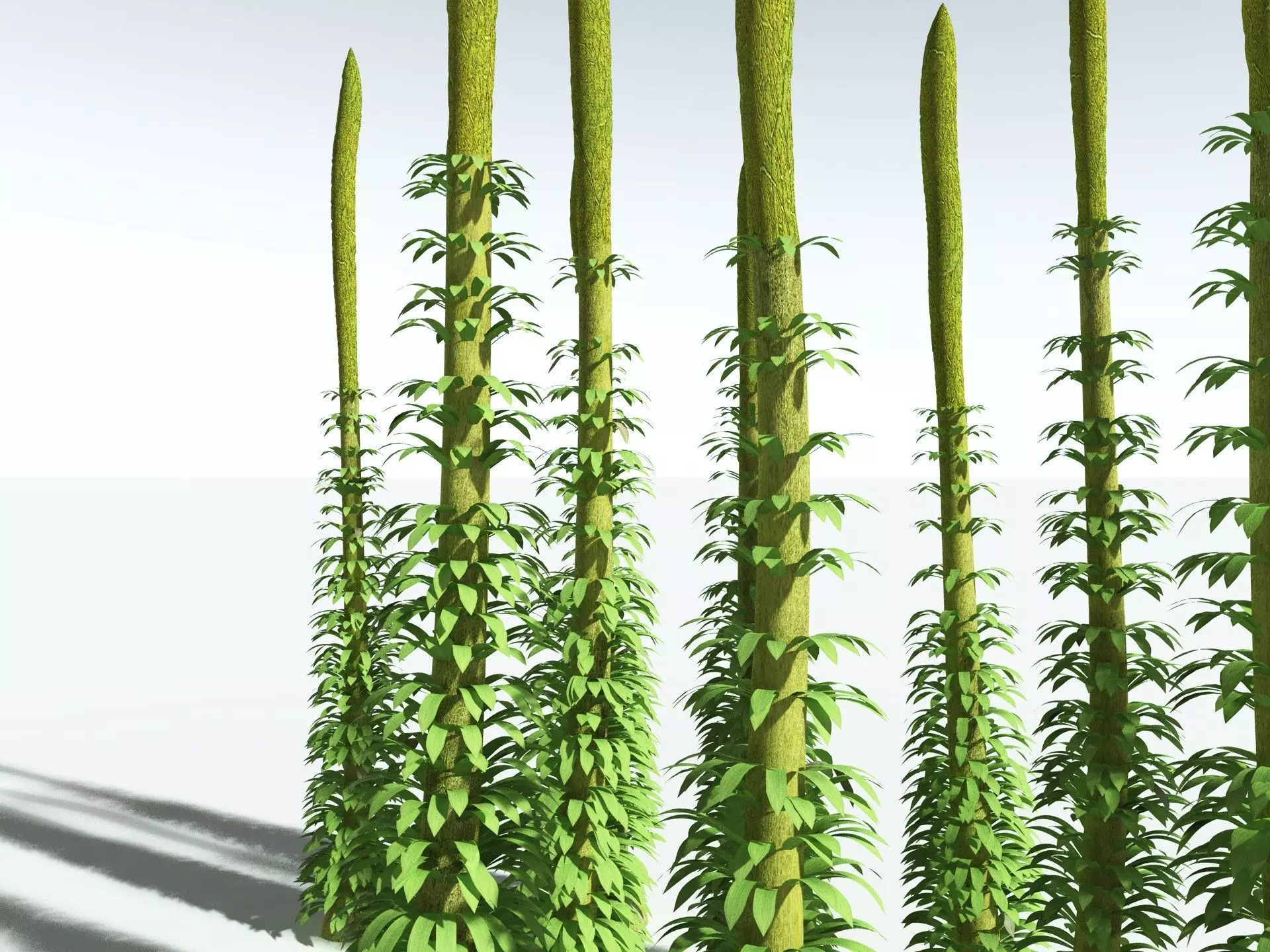EVERYPlant Chaloneria Cormosa 3D model_9