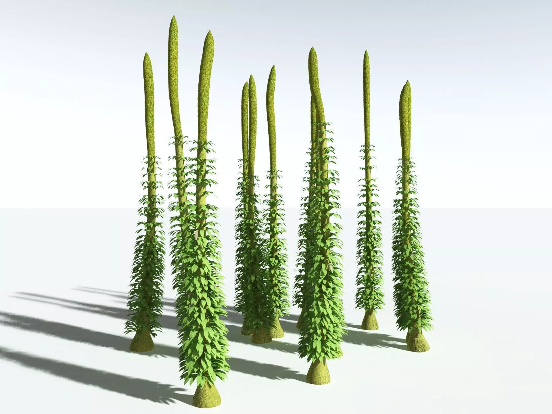 EVERYPlant Chaloneria Cormosa 3D model_6