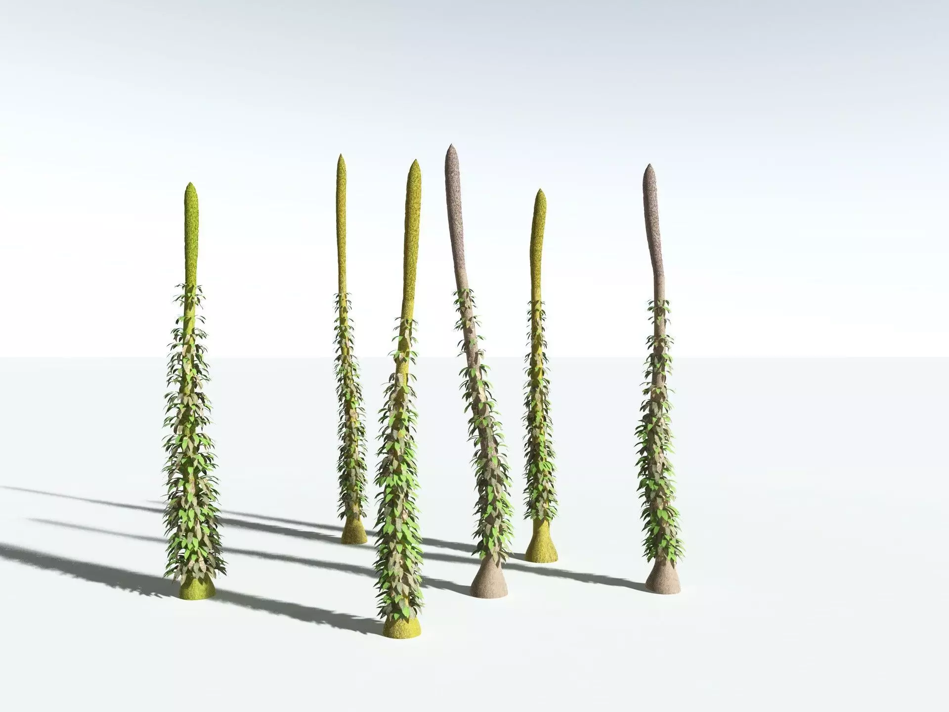 EVERYPlant Chaloneria Cormosa 3D model_14