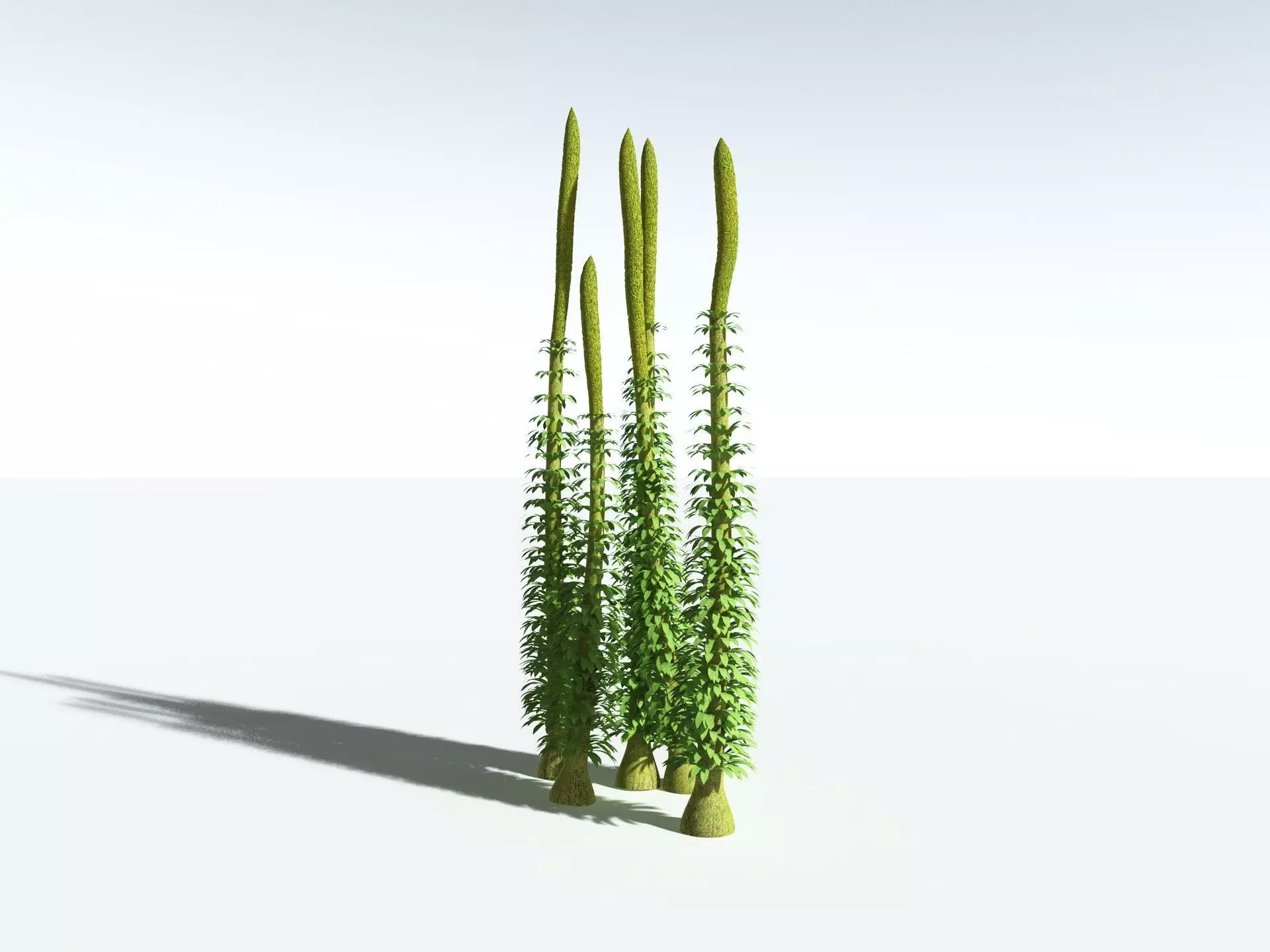 EVERYPlant Chaloneria Cormosa 3D model_32