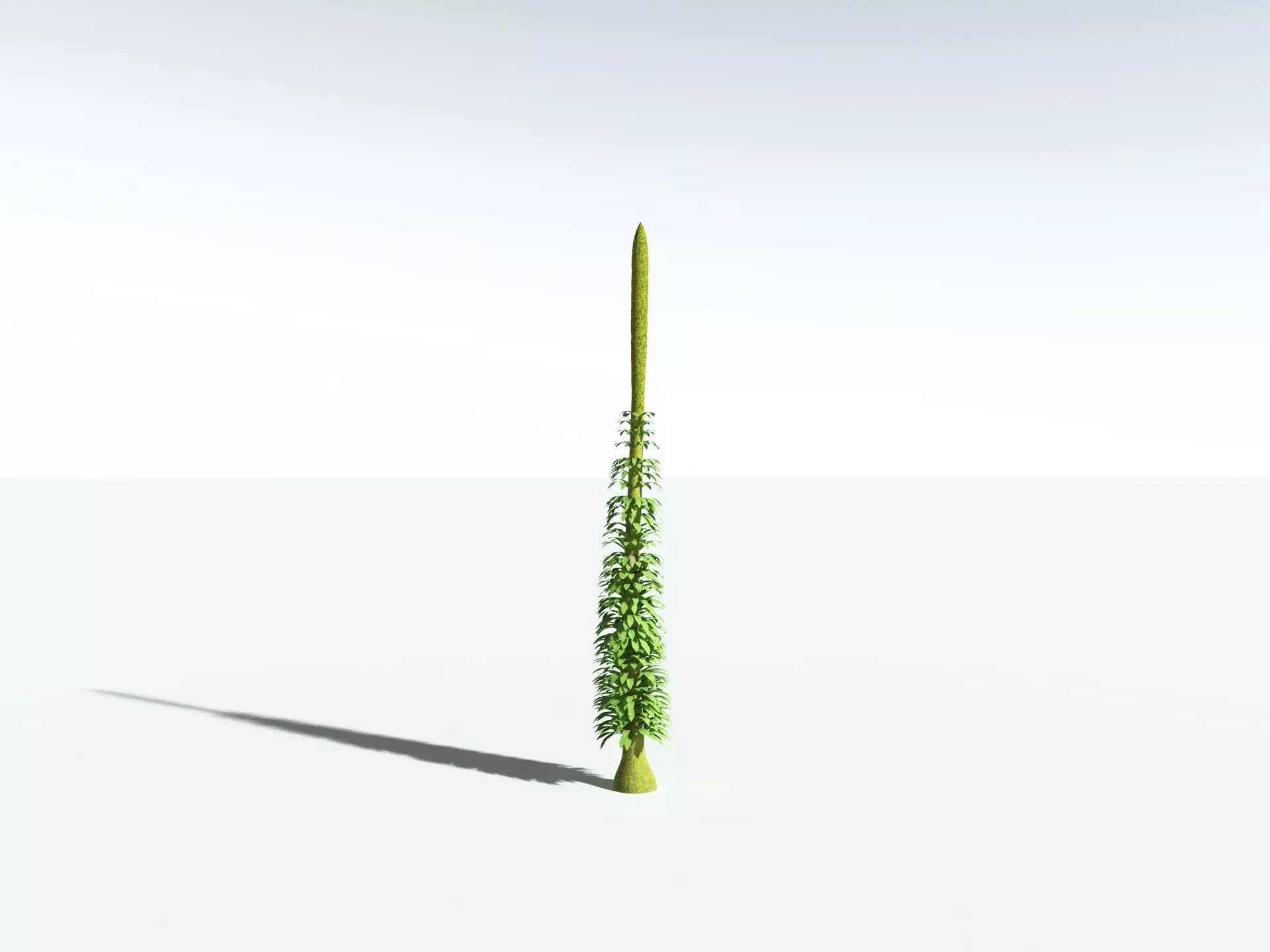 EVERYPlant Chaloneria Cormosa 3D model_30