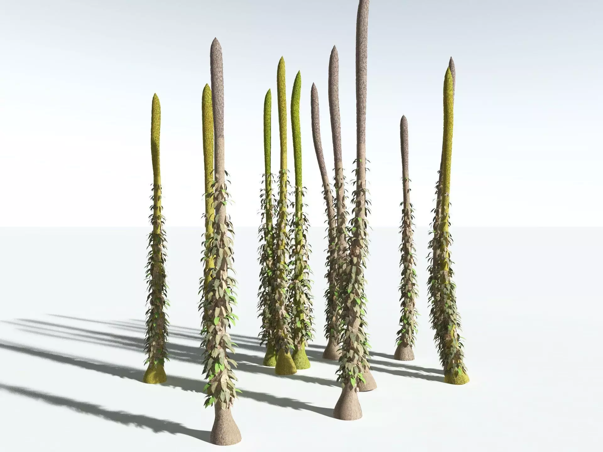 EVERYPlant Chaloneria Cormosa 3D model_16