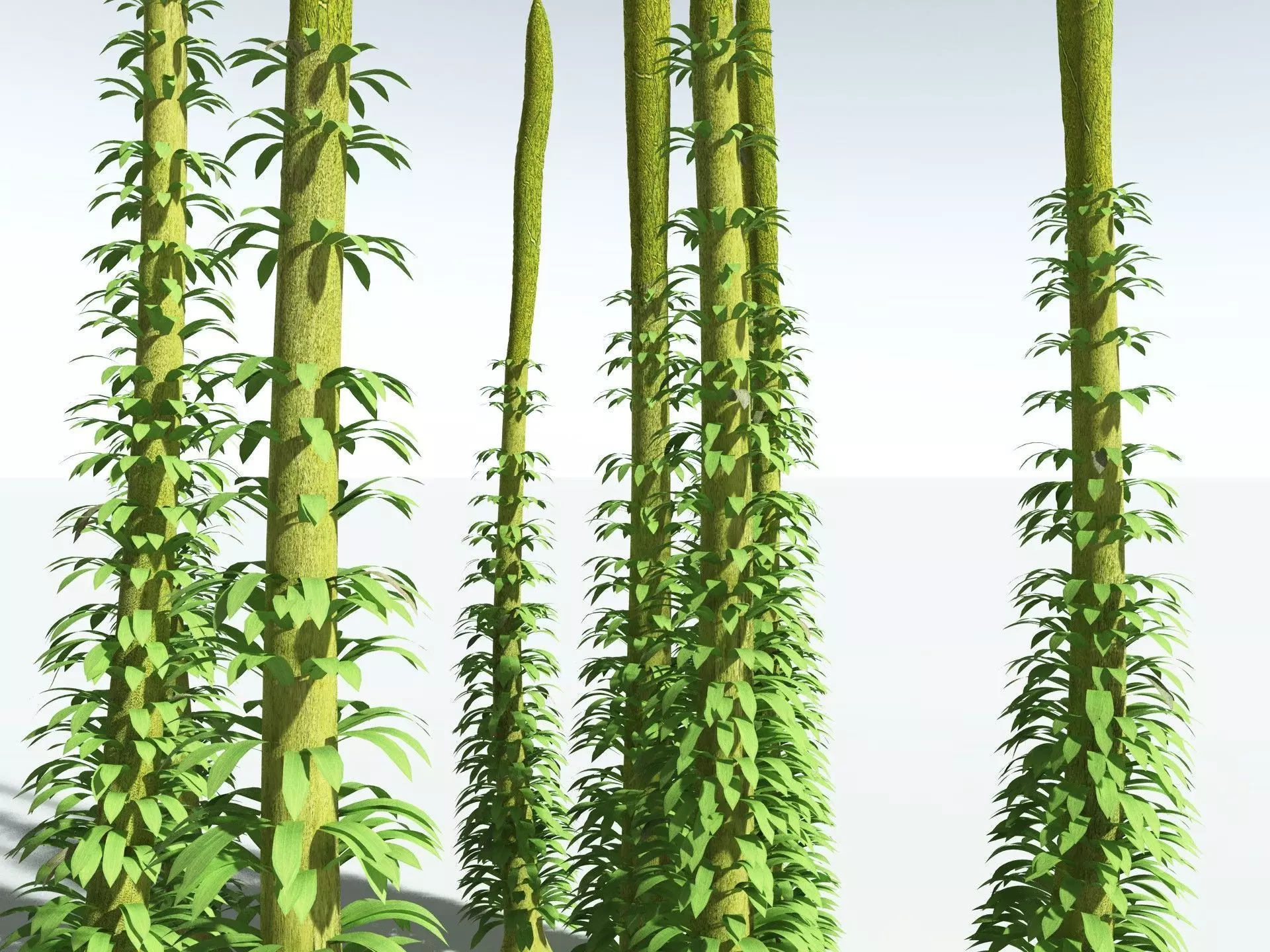 EVERYPlant Chaloneria Cormosa 3D model_21