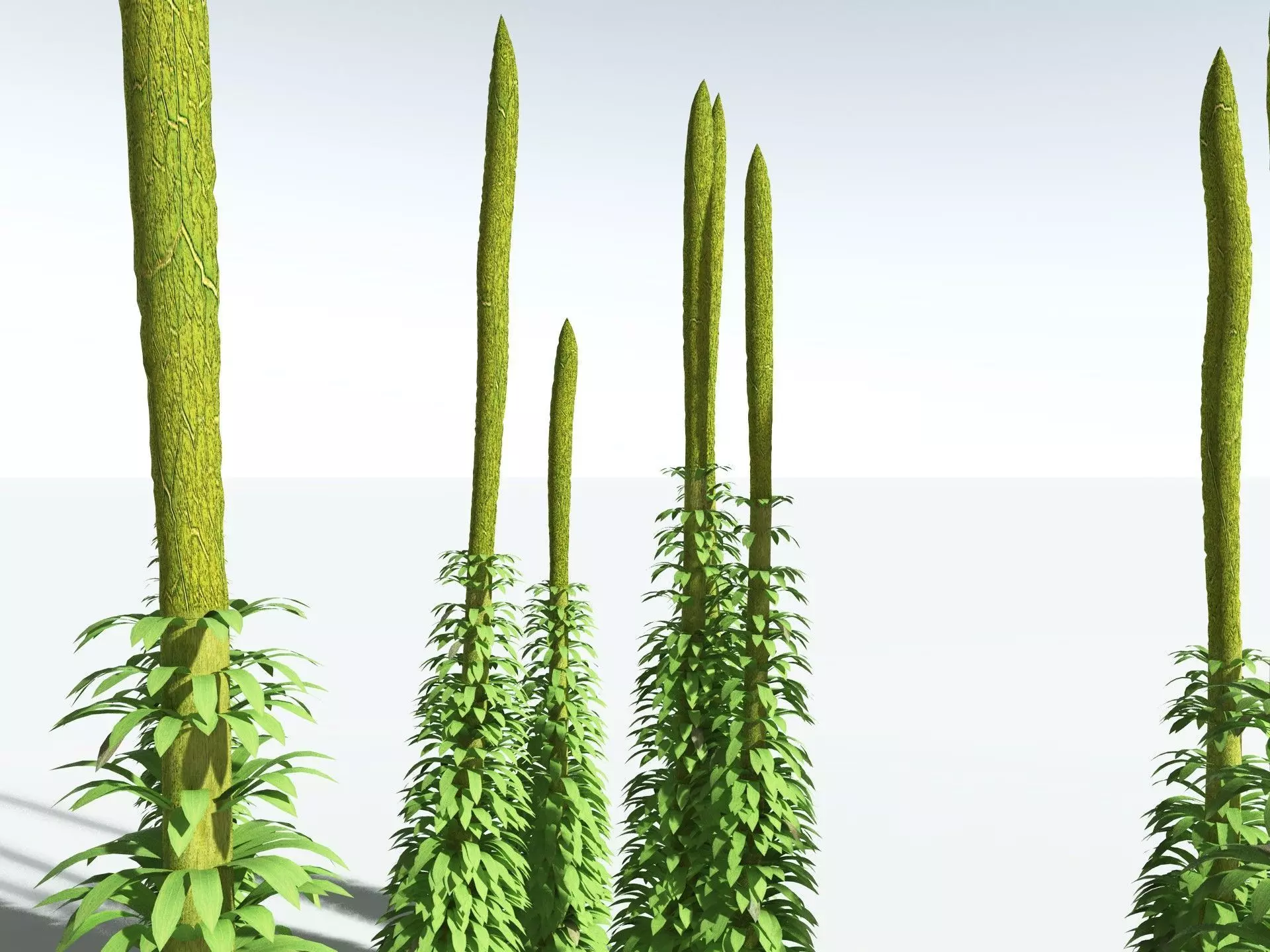 EVERYPlant Chaloneria Cormosa 3D model_23