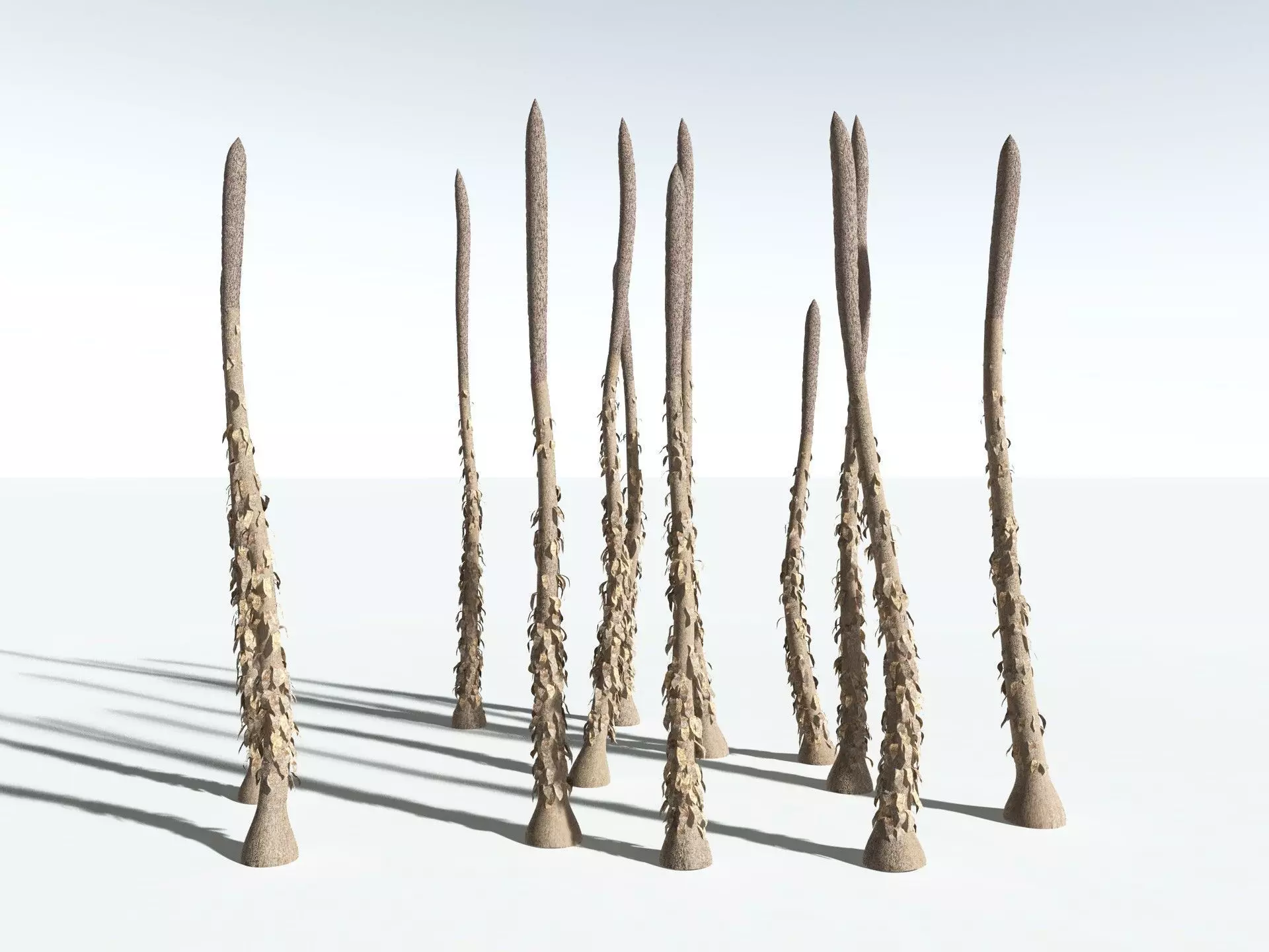 EVERYPlant Chaloneria Cormosa 3D model_18