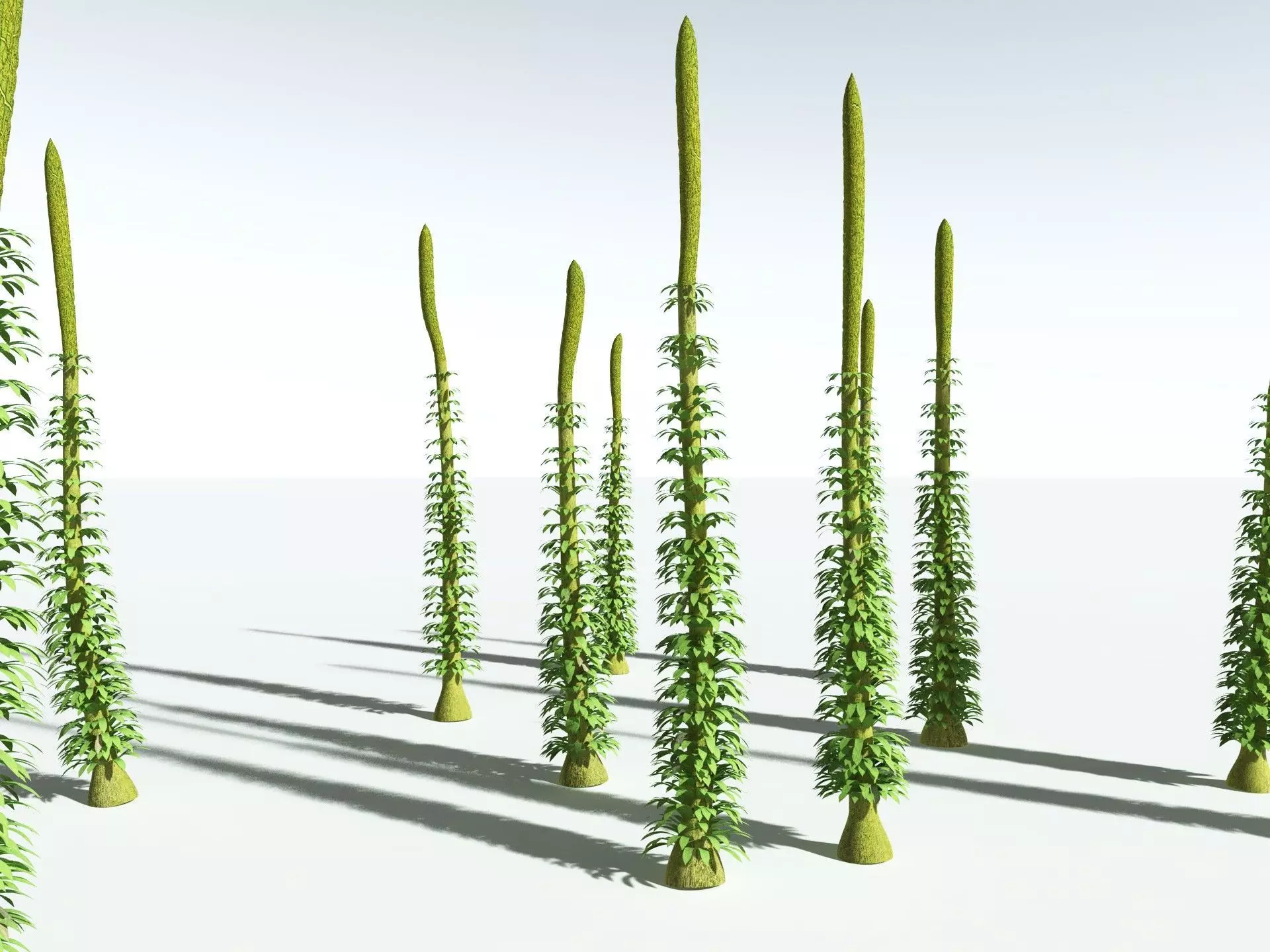 EVERYPlant Chaloneria Cormosa 3D model_34
