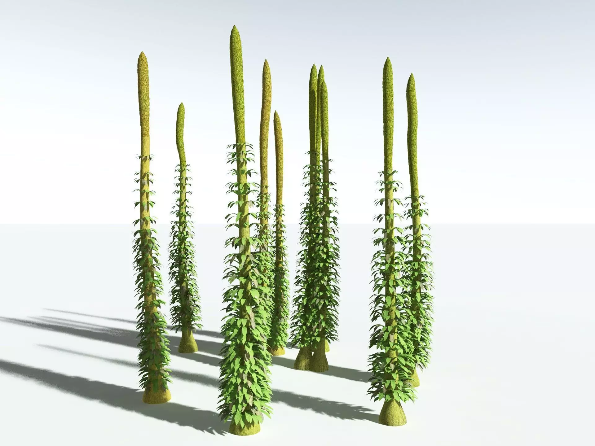 EVERYPlant Chaloneria Cormosa 3D model_12