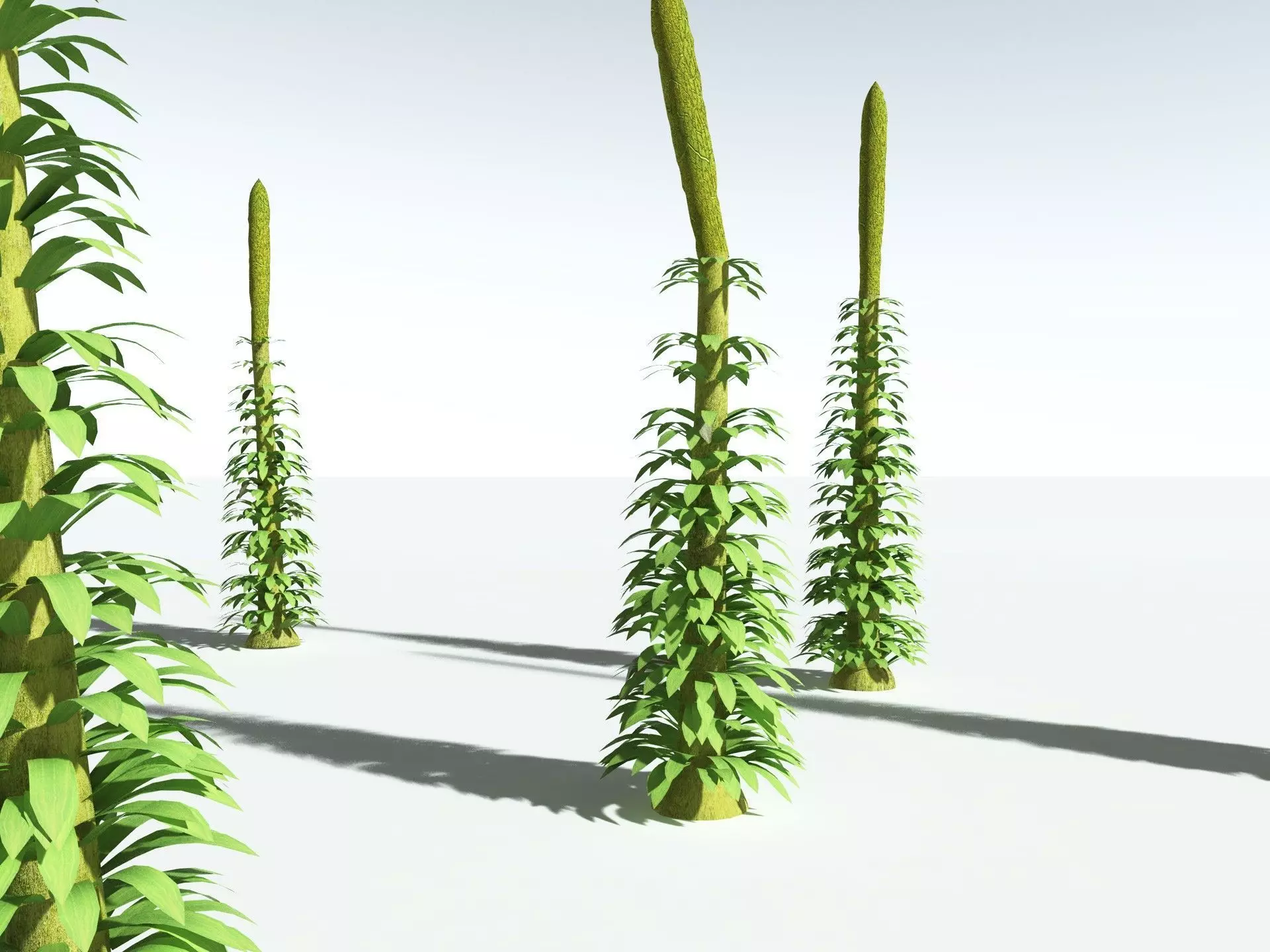 EVERYPlant Chaloneria Cormosa 3D model_25