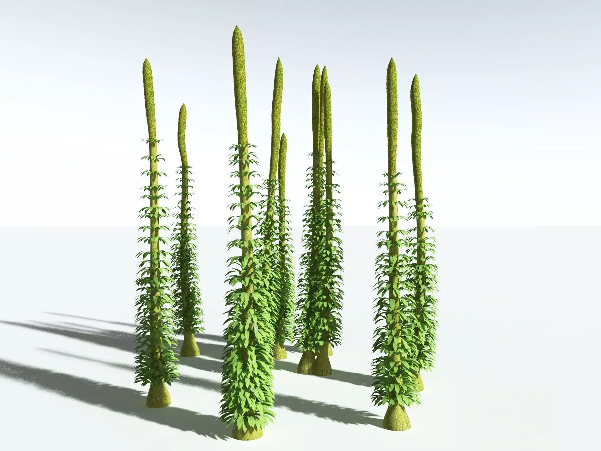 EVERYPlant Chaloneria Cormosa 3D model_2