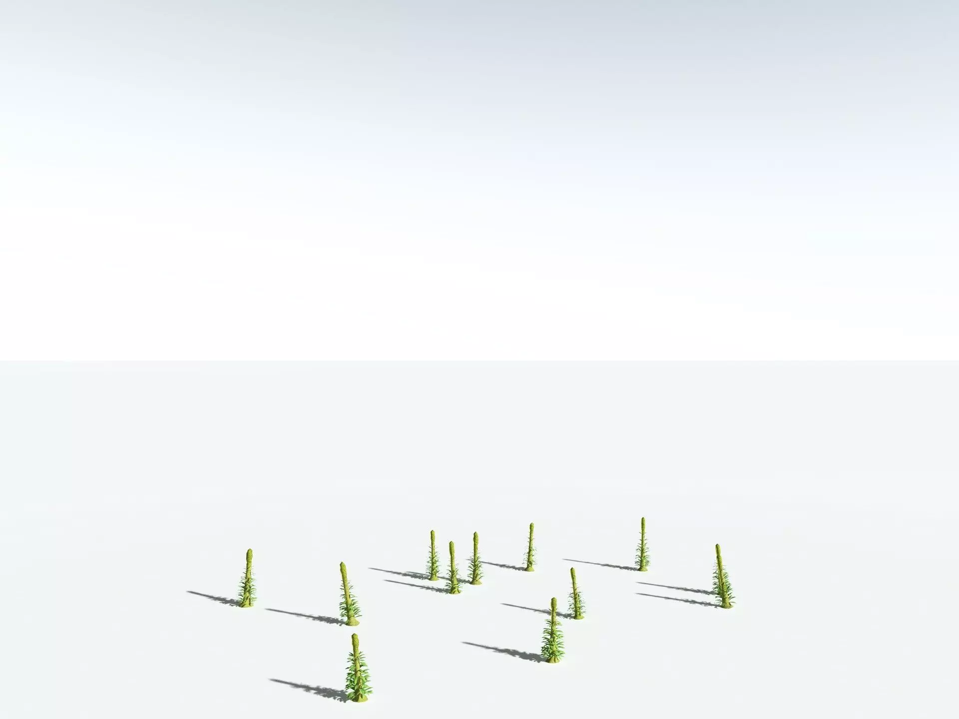 EVERYPlant Chaloneria Cormosa 3D model_26