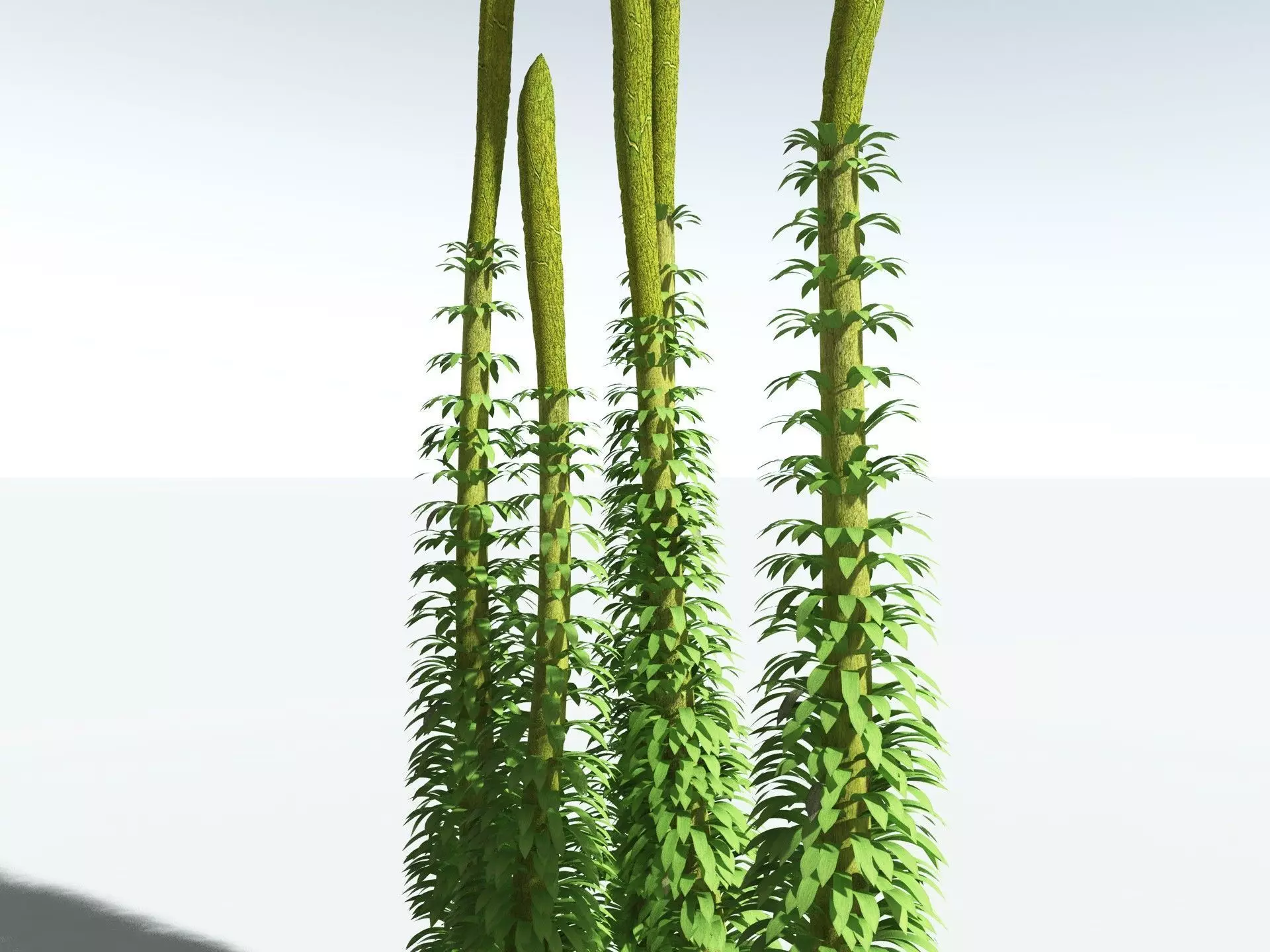 EVERYPlant Chaloneria Cormosa 3D model_33