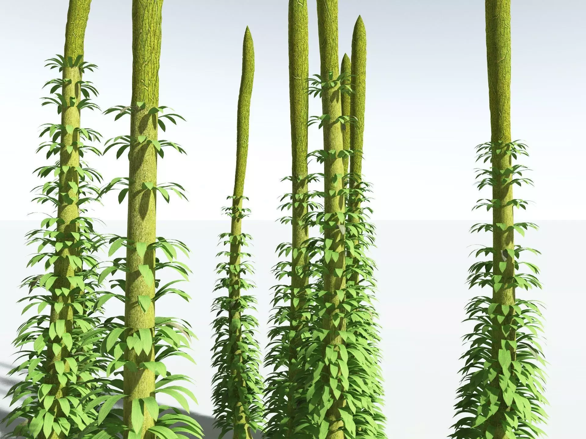 EVERYPlant Chaloneria Cormosa 3D model_1